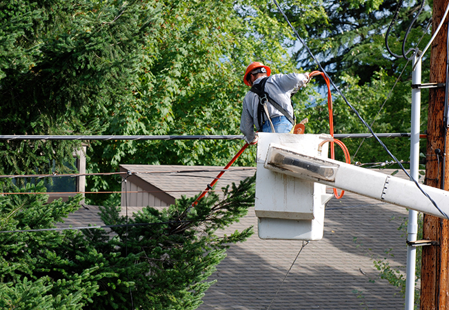 Tree cutting around power lines
